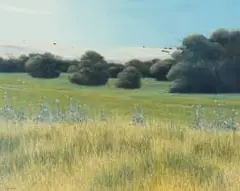 David Dridan, Late Afternoon Coorang, oil on board