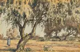 Erich Mayer, Tree