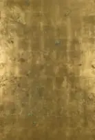 Pierre Vermeulen, Hair Orchid Sweat Print, Blue, sweat, gold leaf imitate, shellac and acrylic on Belgian linen