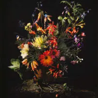 Andrew Putter, Detail of a Sketch for Flora Capensis, 2008, archival pigment inks on 300g cotton rag paper