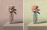 Alex Emsley, Variations on a Theme, diptych, oil on board