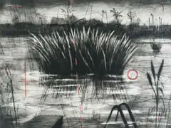William Kentridge, Reeds, colour etching, lift-ground, spitbite, aquatint and drypoint from one copper plate and power tool-engraved polycarbon sheet, on hand-painted Vélin d'Arches Blanc 300gsm paper