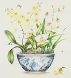 Kelly Higgs, Yellow Orchids, watercolour on paper