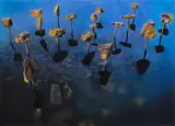 Strijdom van der Merwe, Documentation Drawing - Balancing Stones on Sticks - Western Cape, South Africa, 2024, mixed media on paper