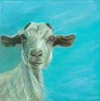 Marian Binder, Goat, acrylic on canvas