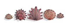 Lucie de Moyencourt, Curated collection of five glazed ceramic shells with coral motifs