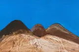 Trevor Coleman, Namib I