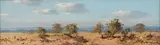 Otto Klar, Bushveld Landscape I, oil on board