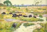Buffalo in the Grasslands by Zakkie Eloff, oil on canvas, offered Jun 2024