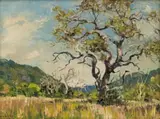 Piet van Heerden, Trees in a Landscape, oil on canvas laid down on board