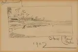 Jacobus Hendrik Pierneef, Ibo (Point Palm), pencil on paper