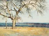 Christopher Tugwell, Tree with Distant Landscape, oil on board