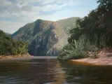 Paddy Starling, Keurbooms River, oil on canvas