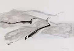 Nel Erasmus, Flight, mixed media on paper