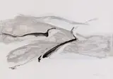 Nel Erasmus, Flight, mixed media on paper