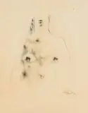 Judith Mason, Study for a Woman, charcoal on paper
