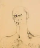 Judith Mason, Caesar, charcoal on paper