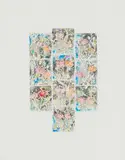 Andrew Verster, Flower Composition, colour etching on paper
