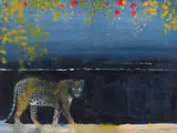 Keith Joubert, Sausage Flower Season, oil on canvas