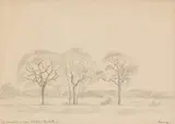 Jacobus Hendrik Pierneef, Uitspan by Soutpan, pencil on paper