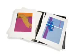 10 Screenprints by Wim Blom, portfolio by Wim Blom, colour screenprint on Wiggens Teape all RAG etching paper in a leather-bound portfolio case, sold May 2024