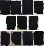 Penis Studies, eleven by Andrew Verster, oil on canvas board, sold May 2024