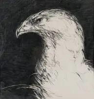 Eagle by Judith Mason, pencil on paper, sold May 2024