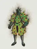 Walter Oltmann, Caterpillar Suit II, seven colour chine collé lithograph on paper