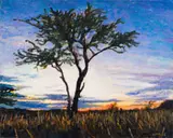 Walter Meyer, Sometimes, oil on canvas