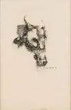 Ezrom Legae, Bull, charcoal on paper