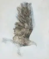 Ruth Levy, Bird, mixed media on paper