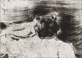 Robert Hodgins, In the Mountains, etching on paper