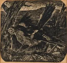 Cape Fiscal Shrike by Walter Battiss, 1950, wood engraving on paper, sold Apr 2024