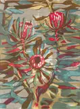 Ulrich Schwanecke, Proteas