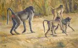 Baboons by Zakkie Eloff, oil on canvas laid down on board, sold Apr 2024