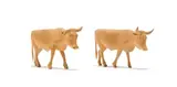 Julius Mfethe, Two Cows