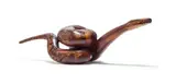 Carl Roberts, Snake, carved wood