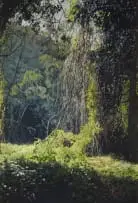 James Mooney, Wilderness, Garden Route, oil on board