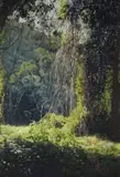 James Mooney, Wilderness, Garden Route