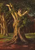 Tinus de Jongh, Tree Trunks, oil on canvas