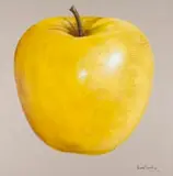 Velaphi (George) Mzimba, Yellow Apple against Stone