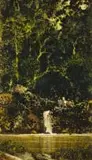 James Mooney, Forest Workers