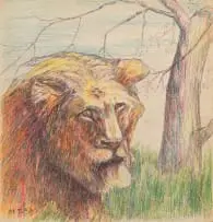 Head of a Lion by Moses Tladi, coloured pencil on card, sold Mar 2024