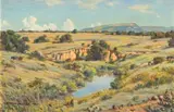 Erich Mayer, Spruit in die Waterberg (Ravine in the Waterberg), oil on board