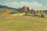 David Botha, Namaqualand Landscape, oil on canvas laid down on board