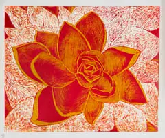 Trudi Dicks, Rohevaria Lolly, linocut on paper