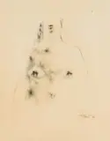 Judith Mason, Study for a Woman, charcoal on paper