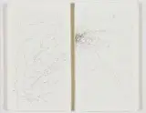 Marcus Neustetter, Abstract Composition, diptych, ink on paper