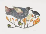 Xgaiga Qhomatca, Tcibi in Apple Leaf Tree, colour lithograph on paper