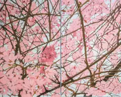 Denby Meyer, Blossom Galaxy, diptych, acrylic on canvas